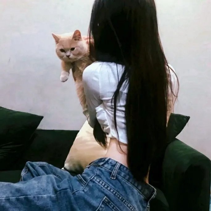 追男仔