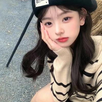 方案
